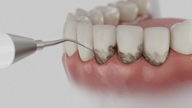 Reliable Dental contractor in Oxford, MS by Dentist Open Now
